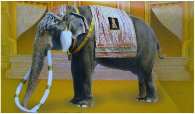 เรื่องราวที่น่าอัศจรรย์ "พระเศวตอดุลยเดชพาหนะฯ"ช้างเผือกคู่พระบารมีแห่งรัชกาลที่ 9