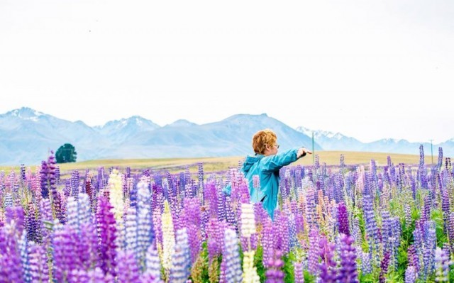 ดัชนีชี้วัดความสงบสุดของโลก ไอซ์แลนด์-นิวซีแลนด์มาแรงคว้าไป ไทยที่ 120 สหรัฐฯ ร่วงรูด