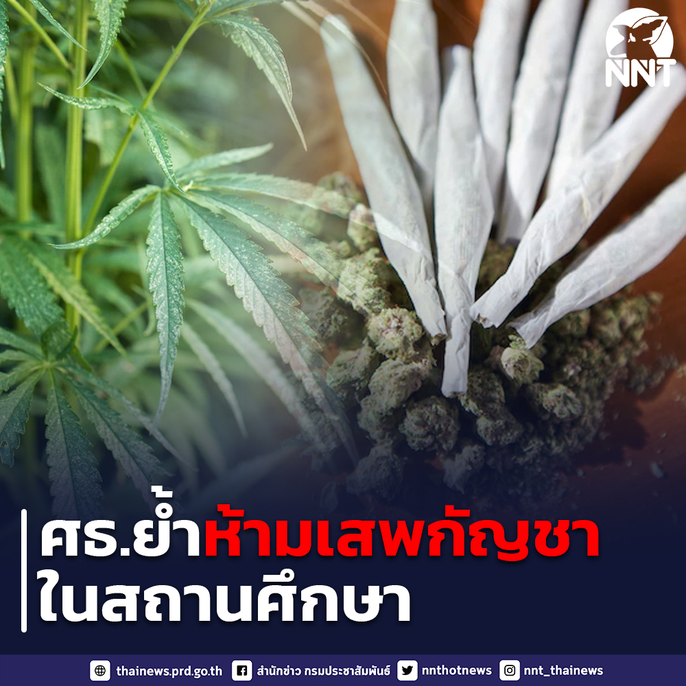 กระทรวงศึกษาธิการ ย้ำห้ามเสพกัญชาในสถานศึกษา