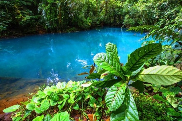 นักวิทย์ถก ทำไมแม่น้ำในคอสตาริกาถึงมีสีฟ้าสวย? หรือจริงๆ แล้วเป็นเพียงภาพลวงตา?