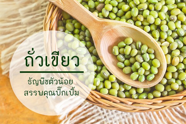 ถั่วเขียว ธัญพืชตัวน้อย สรรพคุณบิ๊กเบิ้ม ของดีที่อยากให้ลอง