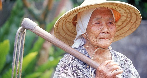 ทำไมที่เกาะโอกินาวา ประเทศญี่ปุ่น จึงมีศตวรรษิกชน (คนอายุยืน) มากที่สุดในโลก