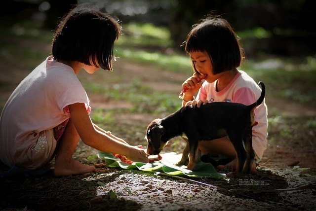 11 ข้อง่าย ๆ กับวิธีสร้างมิตรภาพที่ดีต่อกัน..สัมพันธภาพที่ดีมีค่ากว่าทรัพย์สินเงินทอง