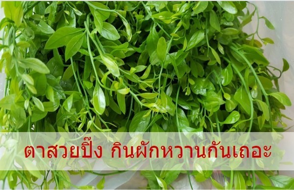 ตาสวยปิ๊ง กินผักหวานกันเถอะ