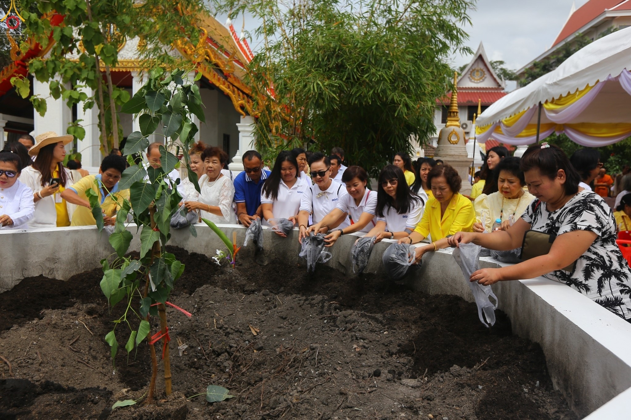 พิธีปลูกต้นพระศรีมหาโพธิ์  ณ วัดเขียนเขต (พระอารามหลวง)