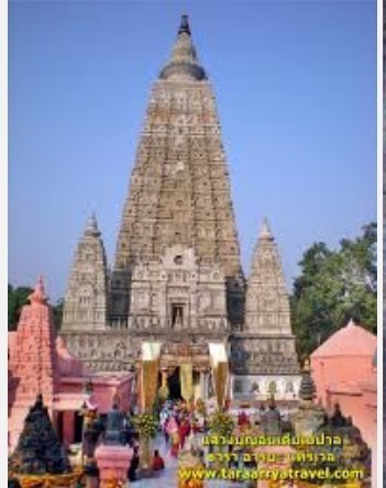 ชาวพุทธสุดเศร้า ต้นพระศรีมหาโพธิ์คู่ทิศเหนือพุทธคยาหักโค่น