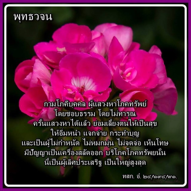 “ทิ้งเหว – ใส่ปากงู – ให้เขากู้ – ฝังดินไว้ – ใช้หนี้เก่า”วิธีการแบ่งทรัพย์ของพระพุทธเจ้า