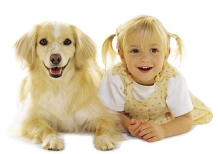 นักวิจัยสหรัฐพบว่า ยีนของสุนัขกลายพันธุ์ ทำให้เป็นมิตรกับมนุษย์ดีกว่าเดิม