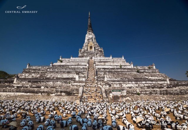 กองทัพแพนด้าบุกไทย