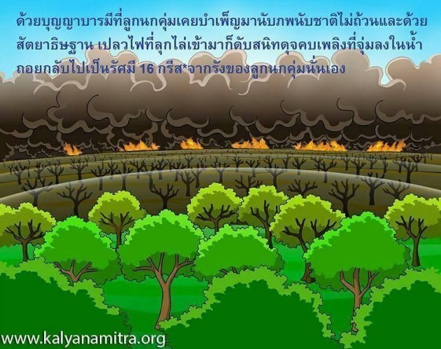 วัฎฎกาชาดก อานุภาพแห่งการตั้งสัตยาธิษฐาน