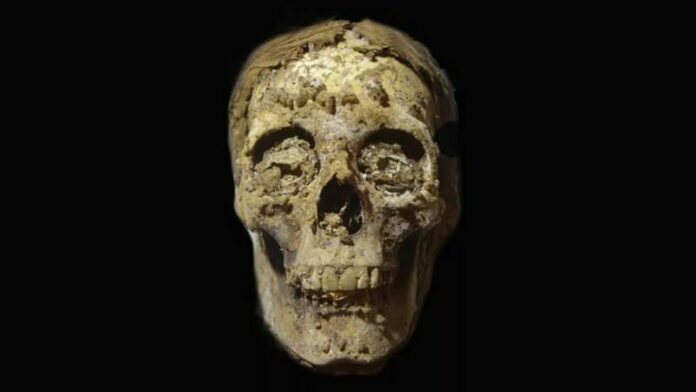 พบมัมมี่อียิปต์ลิ้นทองคำ เพิ่มอีก 3 ร่าง อายุเก่าแก่ 2,500 ปี