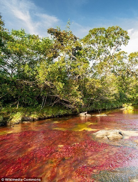 แม่น้ำ 5 สี the river of five colors ที่เดียวในโลก