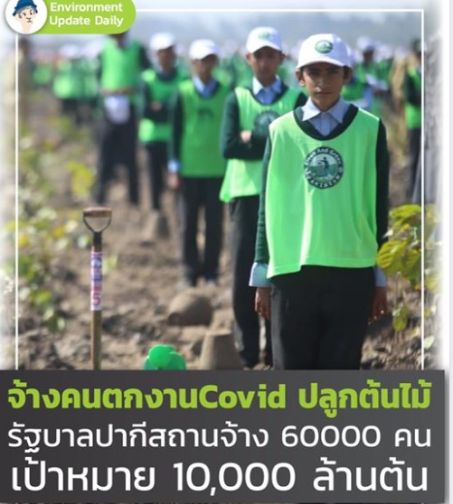 รัฐบาลปากีสถาน จ้างคนตกงานจากวิกฤตไวรัสโควิด-19 ปลูกต้นไม้ 60,000 ตำแหน่ง