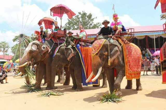 ขบวนช้างแห่นาคเข้าโบสถ์ ประเพณีเก่าแก่ชาวอีสานใต้