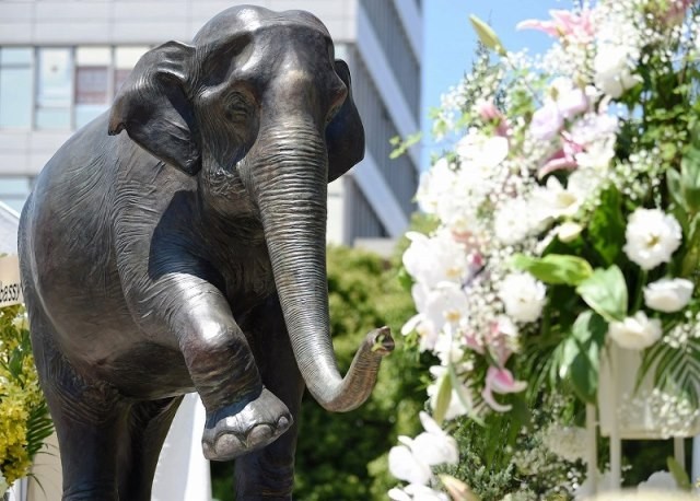 สวนสัตว์กรุงโตเกียวเปิดตัวรูปปั้นช้างไทย 'ฮานาโกะ' หลังล้มครบ 1 ปี