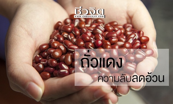 ถั่วแดง…ความลับลดความอ้วน