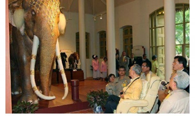 เรื่องราวที่น่าอัศจรรย์ "พระเศวตอดุลยเดชพาหนะฯ"ช้างเผือกคู่พระบารมีแห่งรัชกาลที่ 9