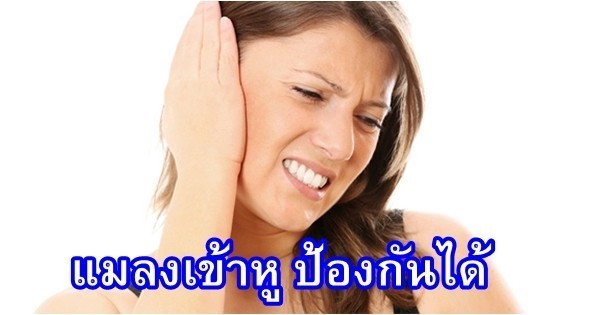 แมลงเข้าหู ควรทำอย่างไร!! วิธีปฐมพยาบาลง่าย ๆ ยามฉุกเฉิน