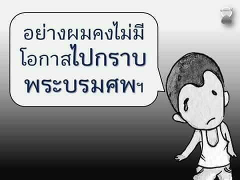 การ์ตูน "เด็กวัดกับหลวงตา" ชวนทำความดีถวายในหลวง รัชกาลที่ ๙