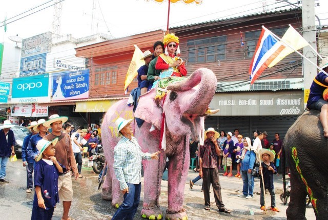 อลังการ!!! สุโขทัย...ประเพณีแห่ช้างบวชนาคไทยพวน
