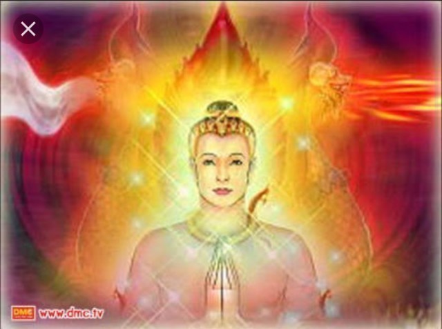 คำชะโนด เกาะลอยน้ำ เผยตำนานป่าลี้ลับป่าคำชะโนด