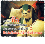 แม้แดดจะเผาผิวผ่อง เธอหมองไหม้  ที่ตรงนั้นมีหุบเหว มีเปลวไฟ  ถ้าอ่อนแอจะฝ่าไป อย่างไรกัน