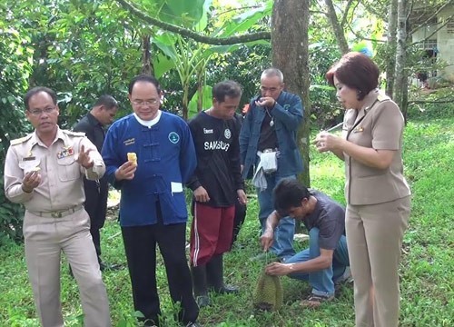 ศูนย์เรียนรู้เศรษฐกิจชุมชน จันทบุรี เปิดให้นักท่องเที่ยวชมสวนผลไม้อินทรีย์ปลอดสารพิษ