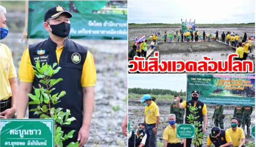 "ยุทธพล"นำอาสาสมัคร ปลูกป่าชายเลนวันสิ่งแวดล้อมโลก