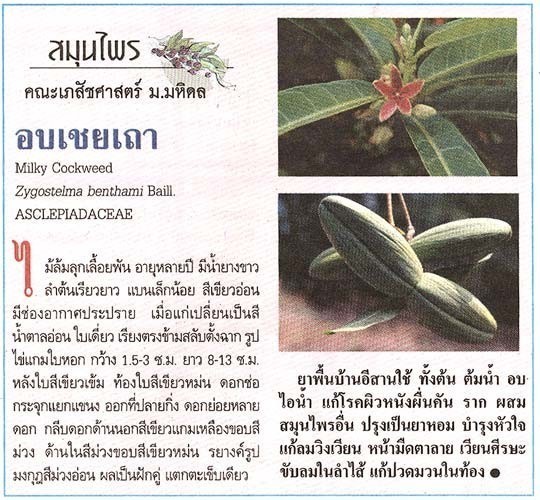 อบเชย รู้ว่าดีอย่างนี้ หามาทานนานแล้ว