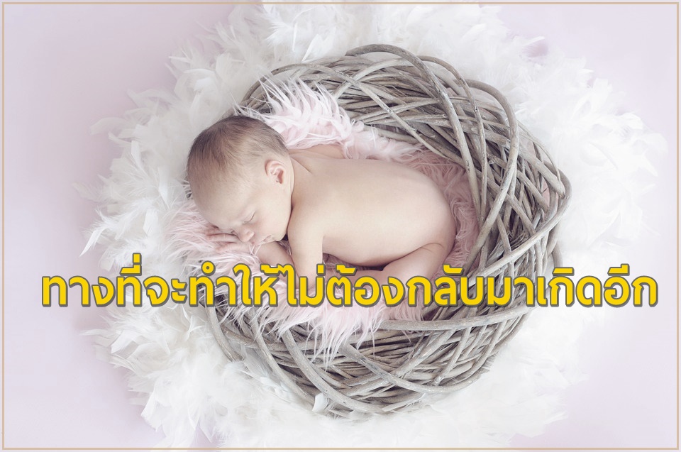 ทางที่จะทำให้ไม่ต้องกลับมาเกิดอีก