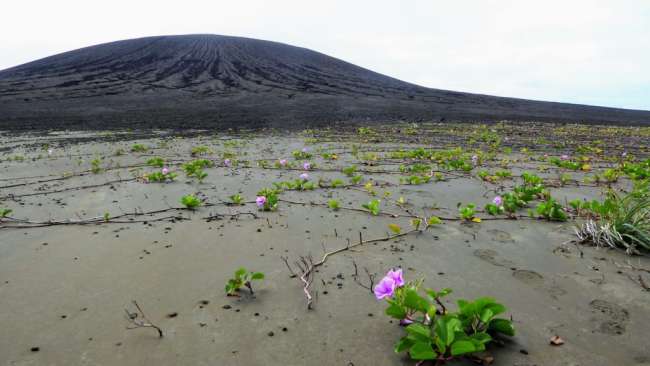 นาซ่า รับรองเกาะ Hunga Tonga เป็นเกาะใหม่ล่าสุด