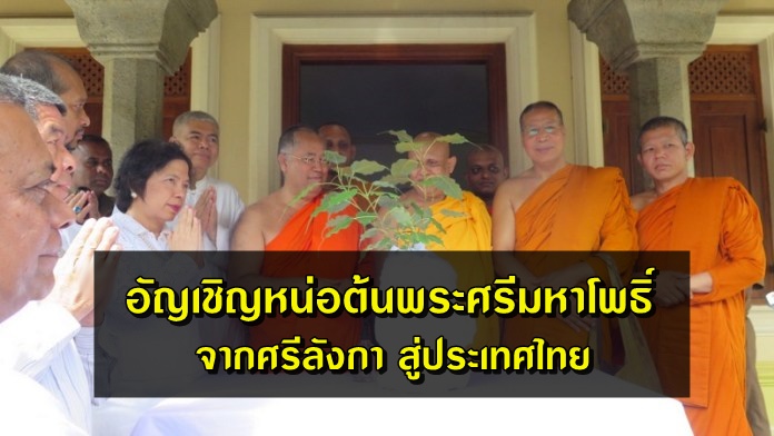 อัญเชิญหน่อต้นพระศรีมหาโพธิ์จากศรีลังกา สู่ประเทศไทย