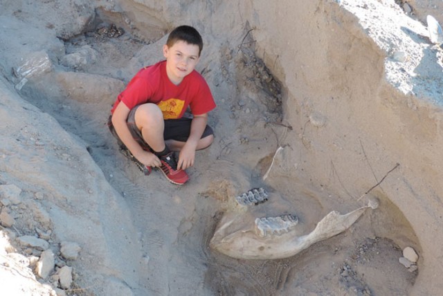 เจ้าหนูวัย 9 ขวบสะดุดล้มกับก้อนหิน ดันพบซากดึกดำบรรพ์อายุกว่า 1,000,000 ปี