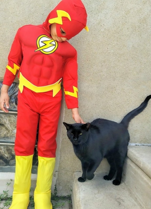 Catman ซูเปอร์ฮีโร่ใจบุญตัวจิ๋ว ผู้พิทักษ์แมวจรจัดในสหรัฐ