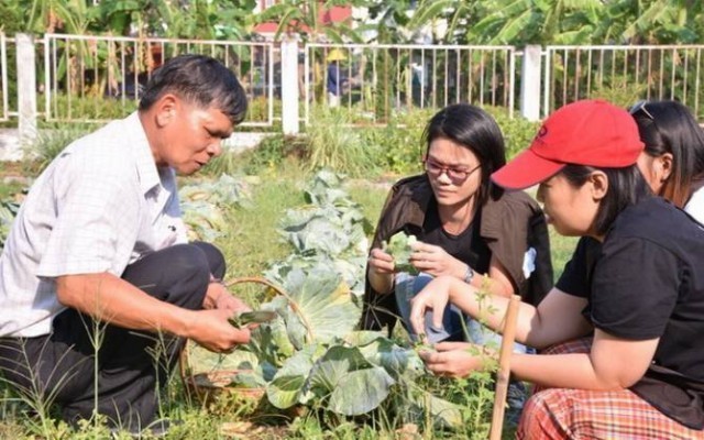 เชิญชวนคนไทยเข้าคอร์ท “กินผัก-ผลไม้” สร้างสุขภาพดี !!!