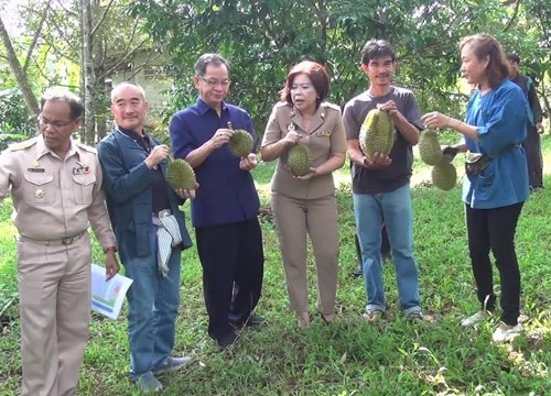 ศูนย์เรียนรู้เศรษฐกิจชุมชน จันทบุรี เปิดให้นักท่องเที่ยวชมสวนผลไม้อินทรีย์ปลอดสารพิษ
