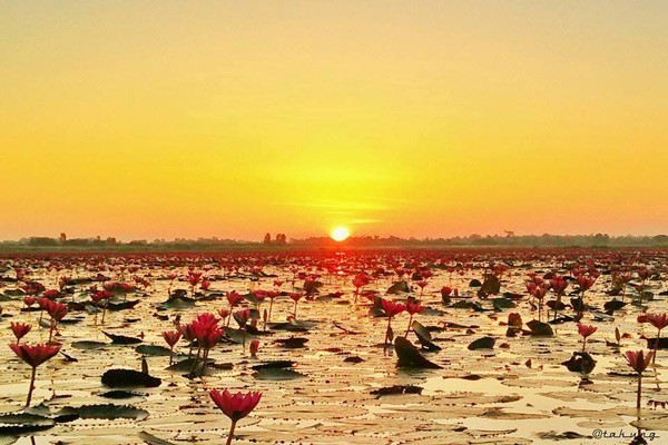 ขงจื้อช่วยตอบ..."พระอาทิตย์ตอนไหนอยู่ใกล้โลกที่สุด????