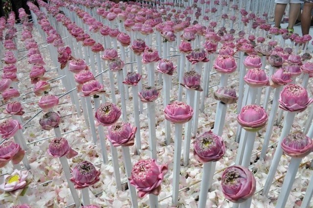 นักธุรกิจค้าดอกไม้ปากคลองตลาดและจิตอาสาช่วยจัดซุ้ม"ดอกไม้เพื่อพ่อ" สุดอลังการ