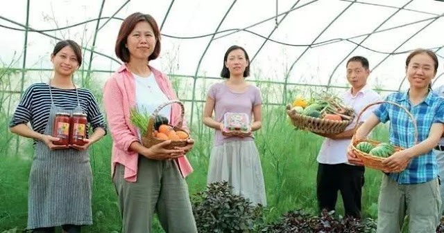 เมืองไทยว่าไง ? เมื่อหนุ่มสาวจีนนับล้าน กลับบ้านทำเกษตร !