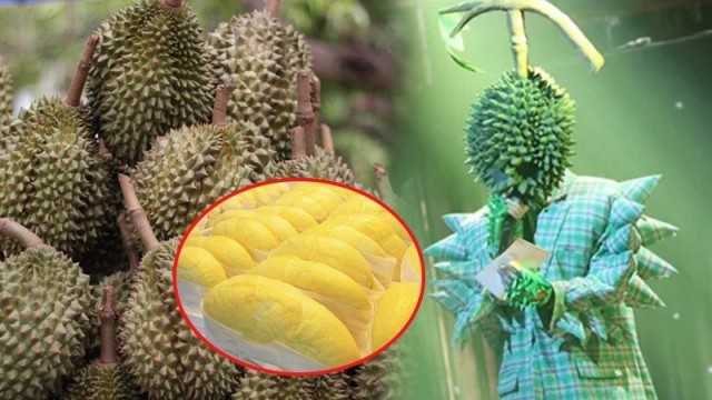 รมช.พาณิชย์หัวใสชวน 'หน้ากากทุเรียน' เป็นพรีเซนเตอร์'ทุเรียนไทย'