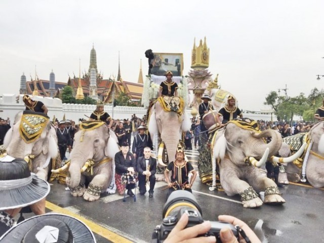 ช้างพลายมงคลจำนวน 11 เชือก ประดับด้วยคชาภรณ์แบบช้างศึก เข้าถวายสักการะพระบรมศพ ในหลวง ร.9