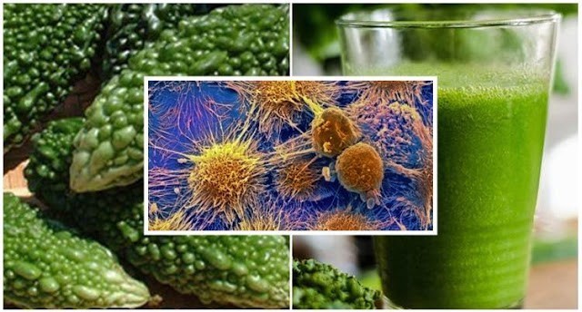 ช่วยกันบอกต่อ! มะระขี้นก ฆ่าเซลล์มะเร็งได้ถึง 90-98% พร้อมวิธีทำน้ำมะระดื่ม