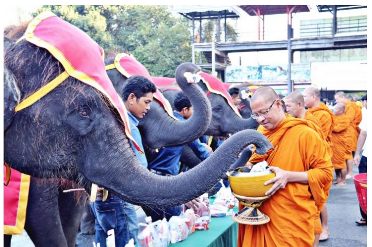 ช้างแสนรู้ 87 เชือกตักบาตรรับพรเสริมสิริมงคล วันช้างไทยที่สวนนงนุช
