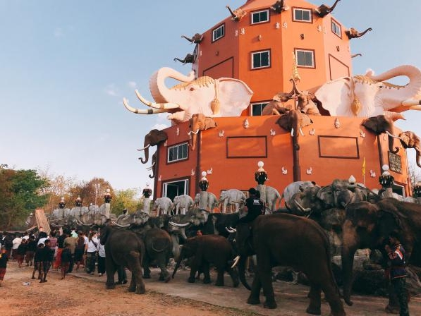 สำนักสงฆ์ป่าอาเจียง นำช้างแสนรู้กว่า 20 เชือก ร่วมเวียนเทียน“วันมาฆบูชา”