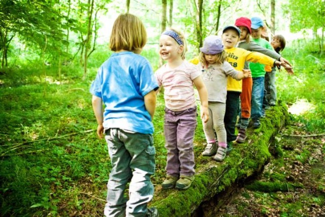 เจ๋ง โรงเรียนอนุบาลในป่าที่เยอรมัน (Waldkindergarten) ฝึกทักษะการใช้ชีวิต