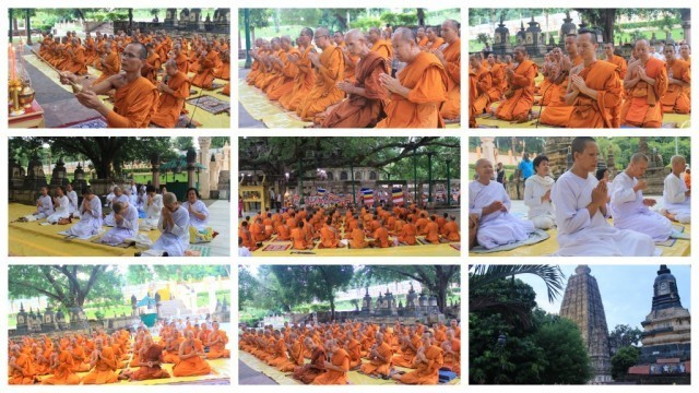 ประวัติ “ต้นพระศรีมหาโพธิ์” ทั้ง ๔ ต้น  ที่พุทธคยา แดนตรัสรู้