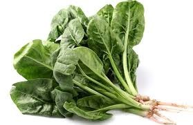 ผักดิบ 9 ชนิดนี้!!กินมากไปอาจให้โทษกับร่างกาย