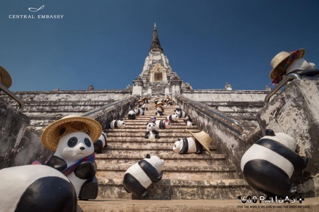 กองทัพแพนด้าบุกไทย