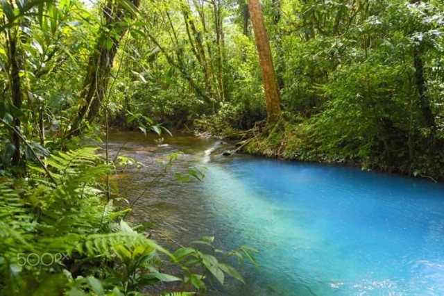 นักวิทย์ถก ทำไมแม่น้ำในคอสตาริกาถึงมีสีฟ้าสวย? หรือจริงๆ แล้วเป็นเพียงภาพลวงตา?
