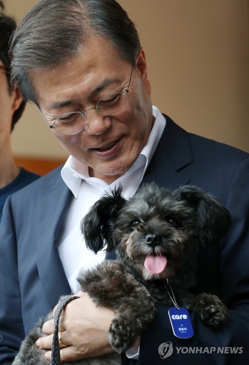 วาสนาดีแท้ ! ประธานาธิบดีเกาหลีใต้ รับอุปการะสุนัขจากศูนย์พักพิง มาเป็นสุนัขประจำตำแหน่ง